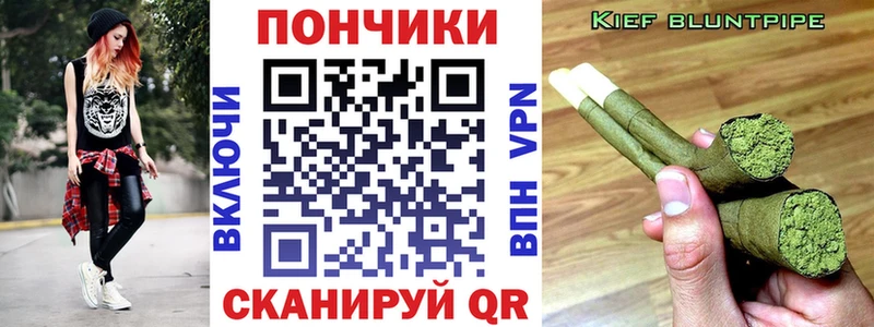 наркота  Приозерск  Марихуана конопля 